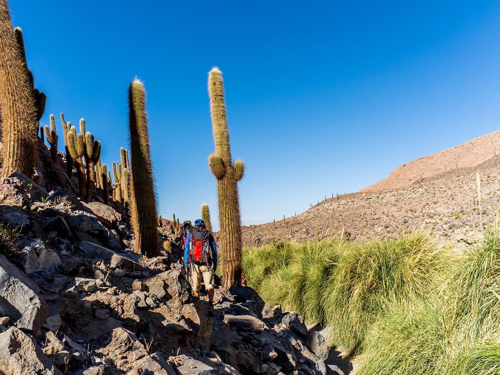 Отель Noi Casa Atacama Сан-Педро-де-Атакама Экстерьер фото